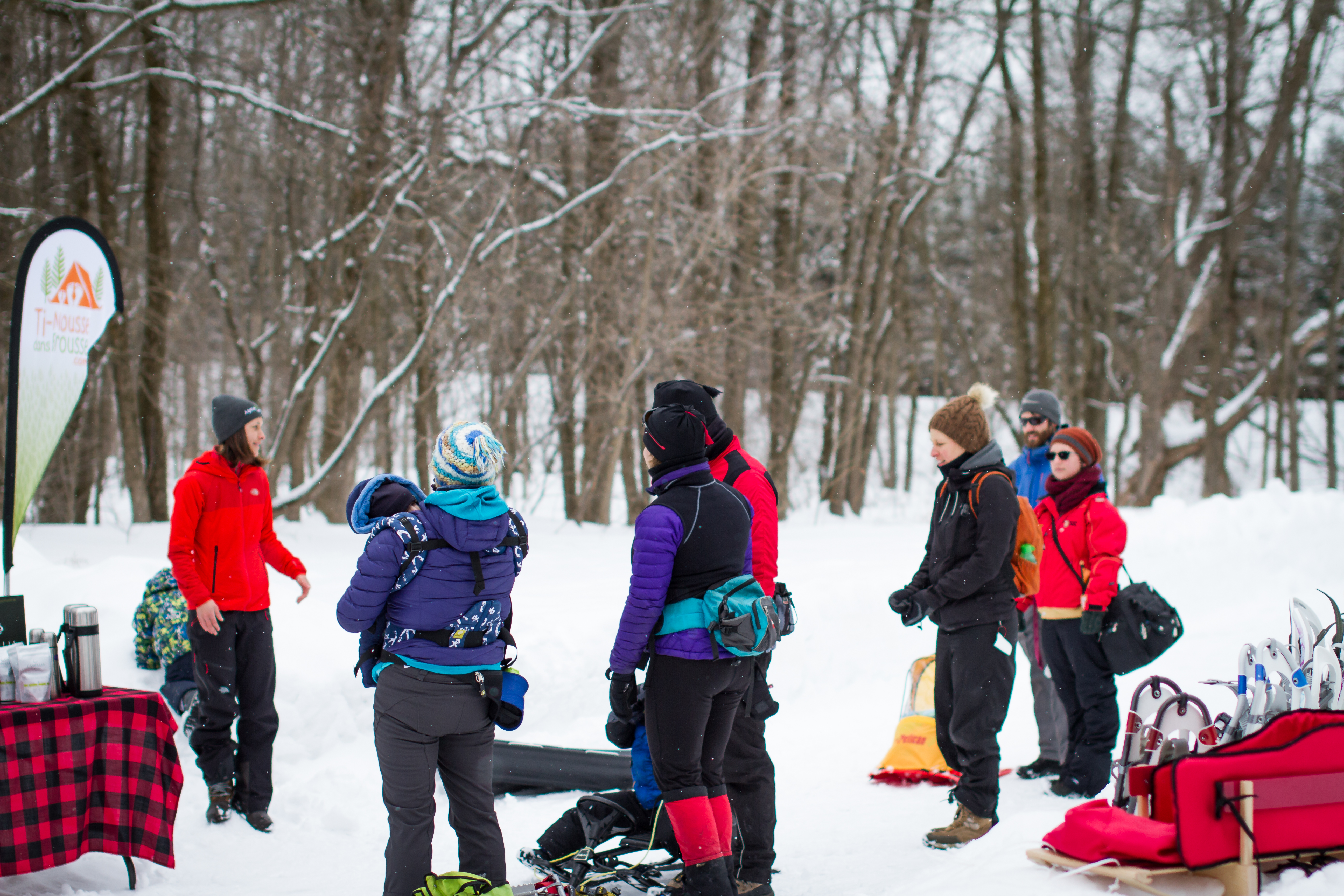 Raquette aux Marais du Nord