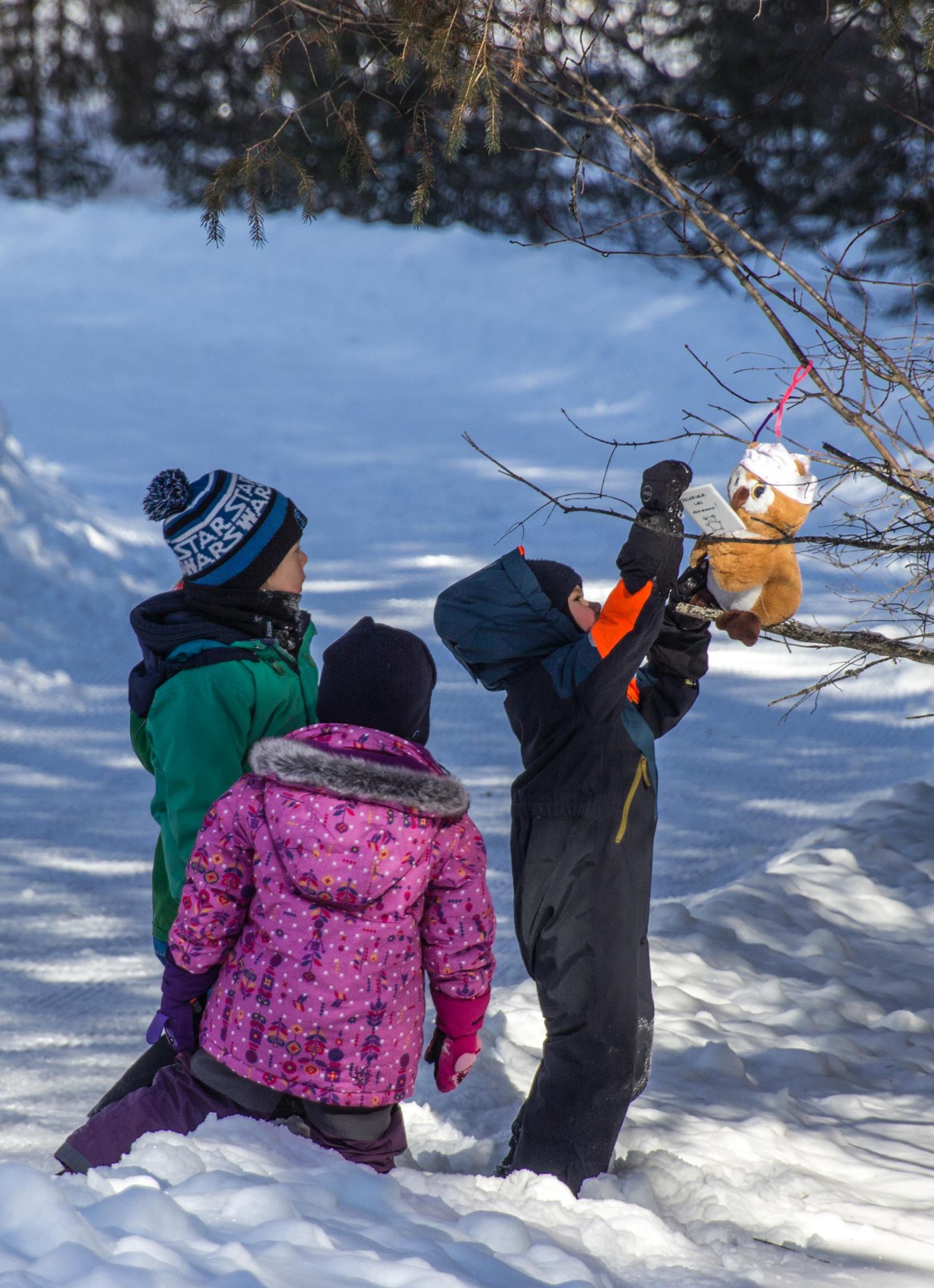 15 mars, Laurentides - Saint-Faustin-Lac-Carré