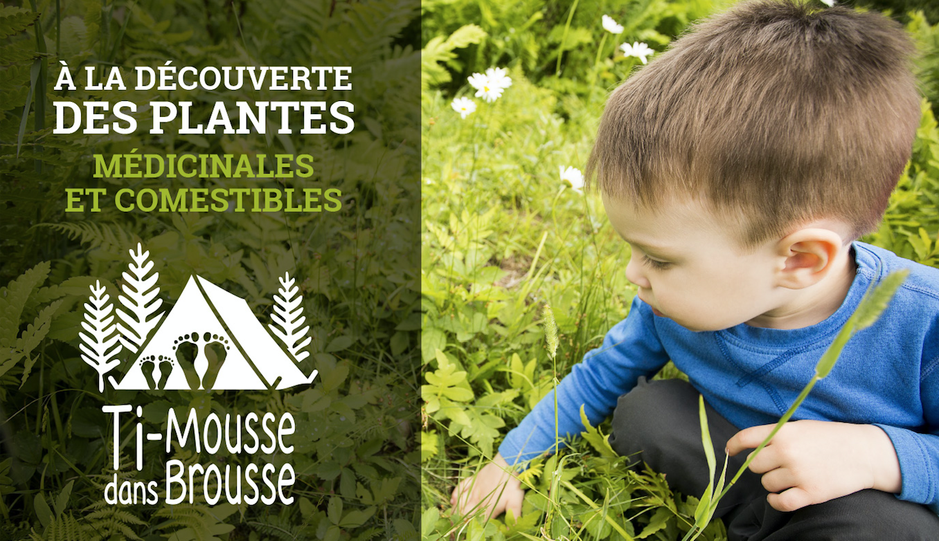 À la découverte des plantes médicinales et comestibles avec Capucine Chartrand