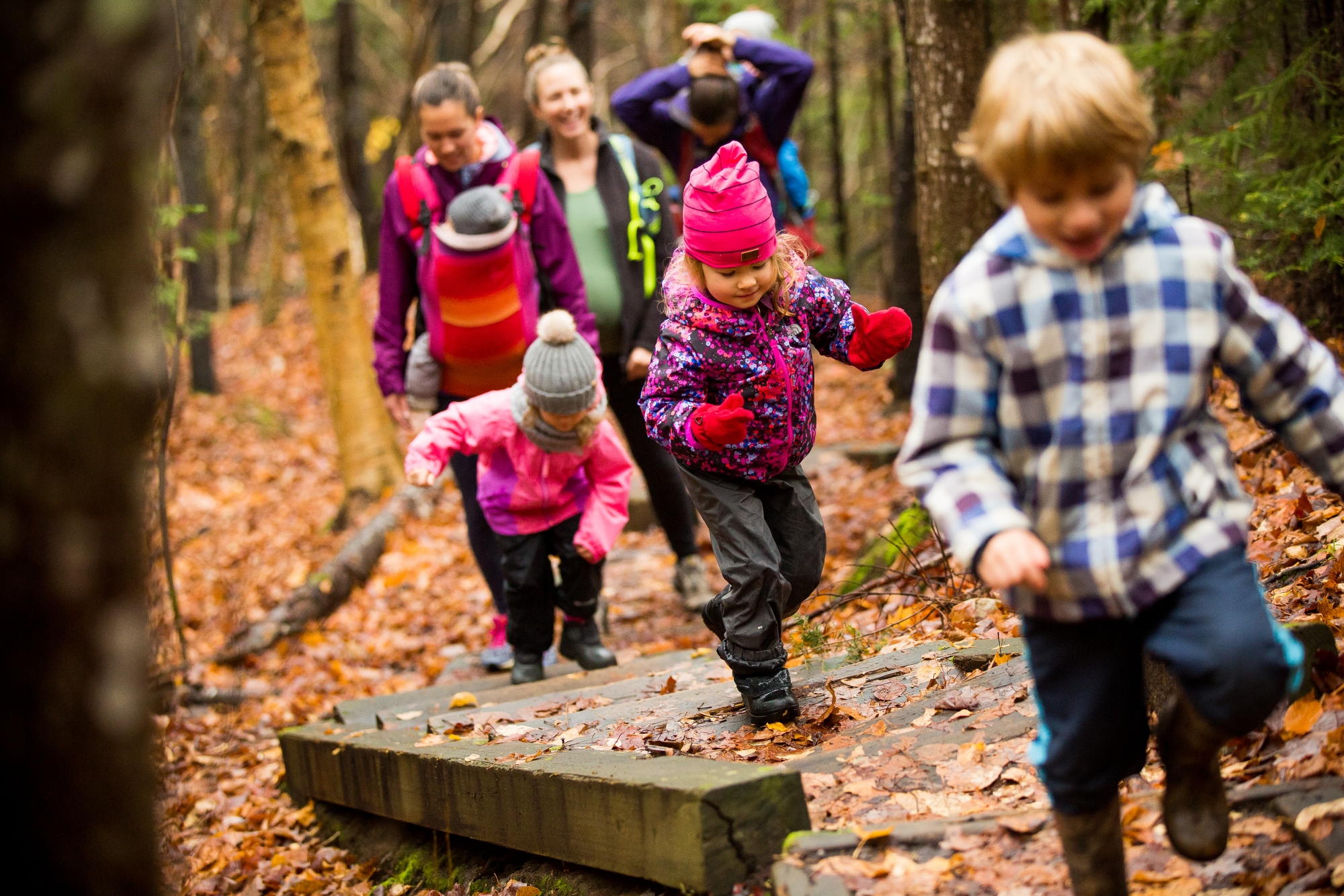 Outaouais - Chasse aux champignons