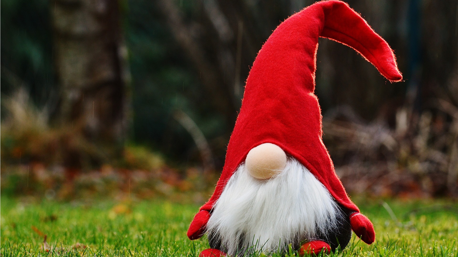 Sherbrooke - Noël des campeurs avec Chasse aux lutins des bois