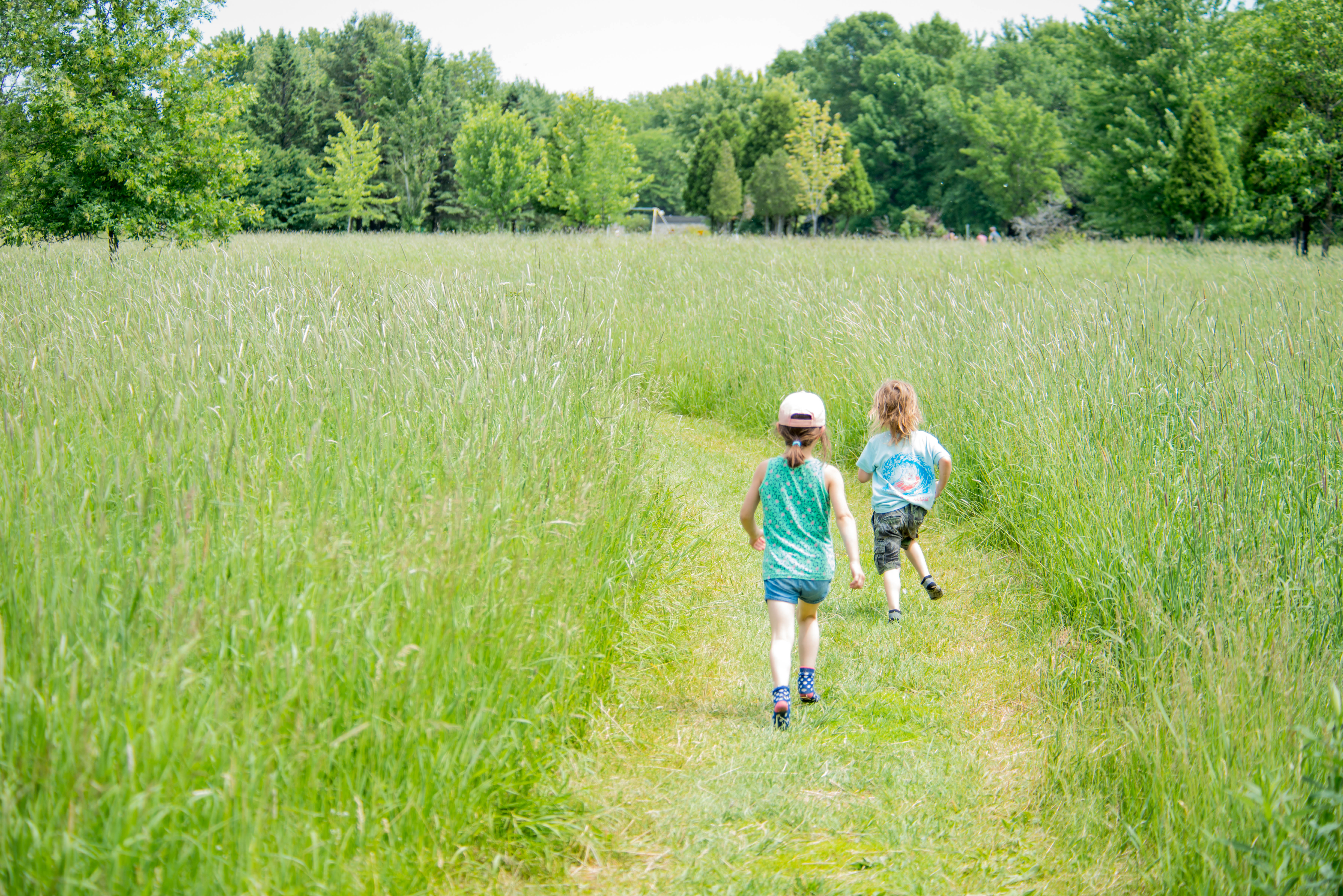 Atelier Ti-Mousse Journée des parcs nationaux - Îles-de-Boucherville