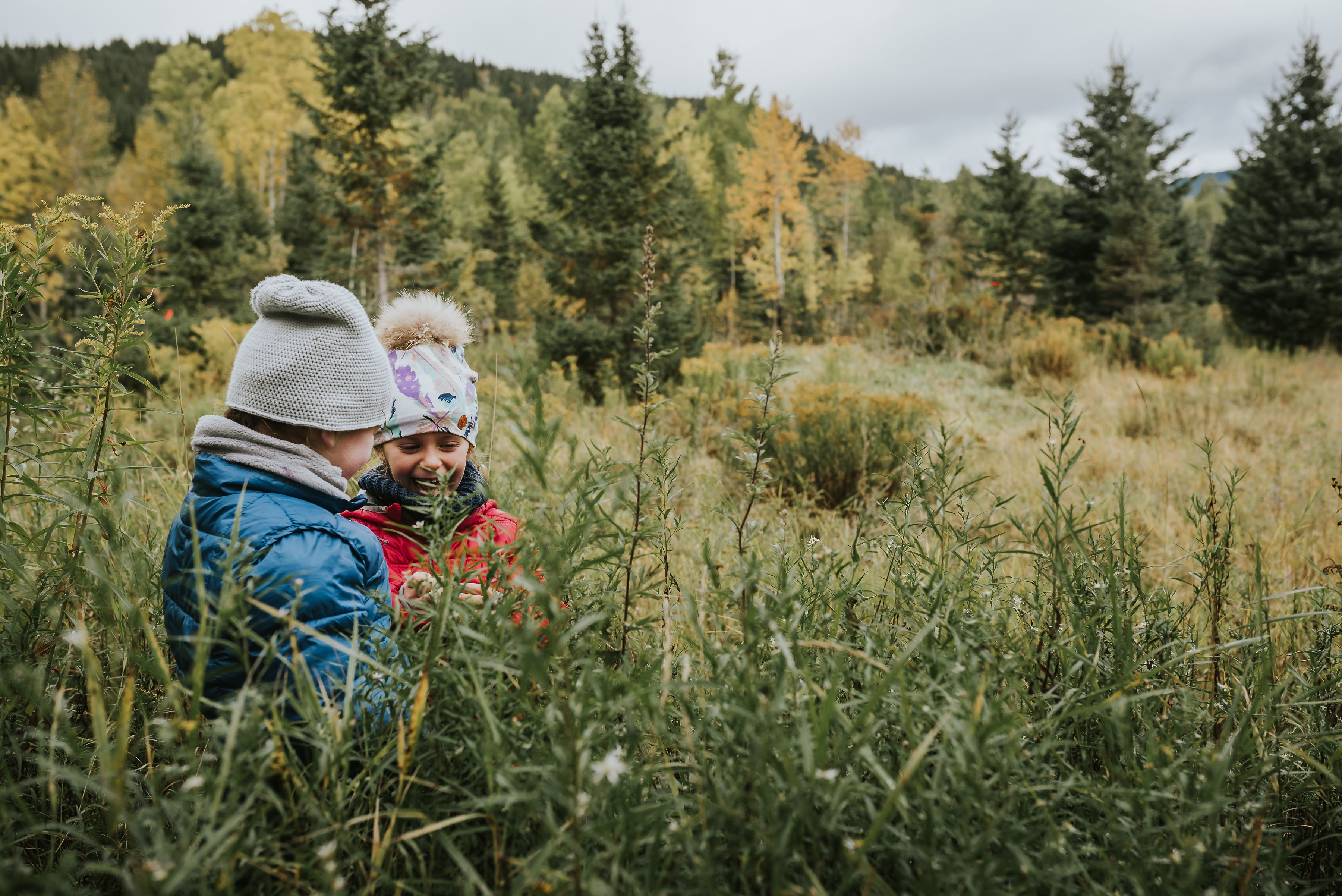 Tous aux p'tits oiseaux - Outaouais