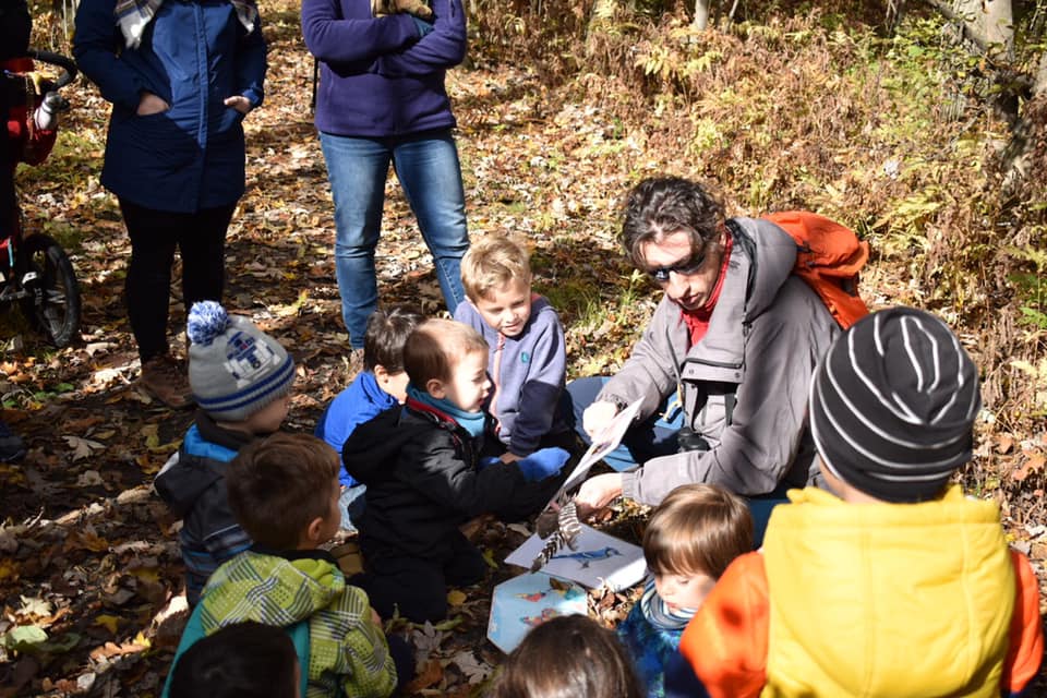 Recensement des oiseaux de Noël