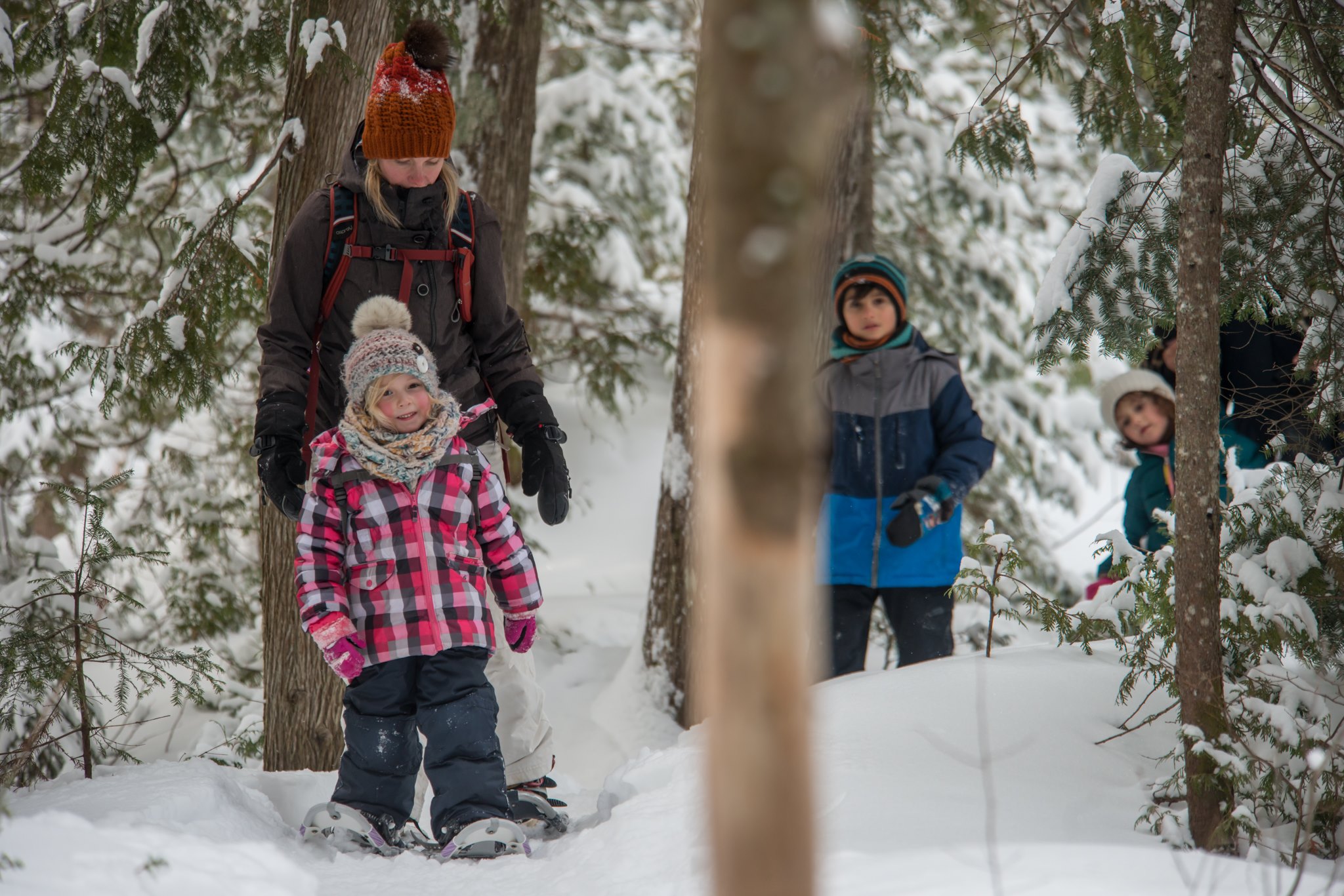 Découverte en raquette du Lac Beauchamp sur la traces des animaux