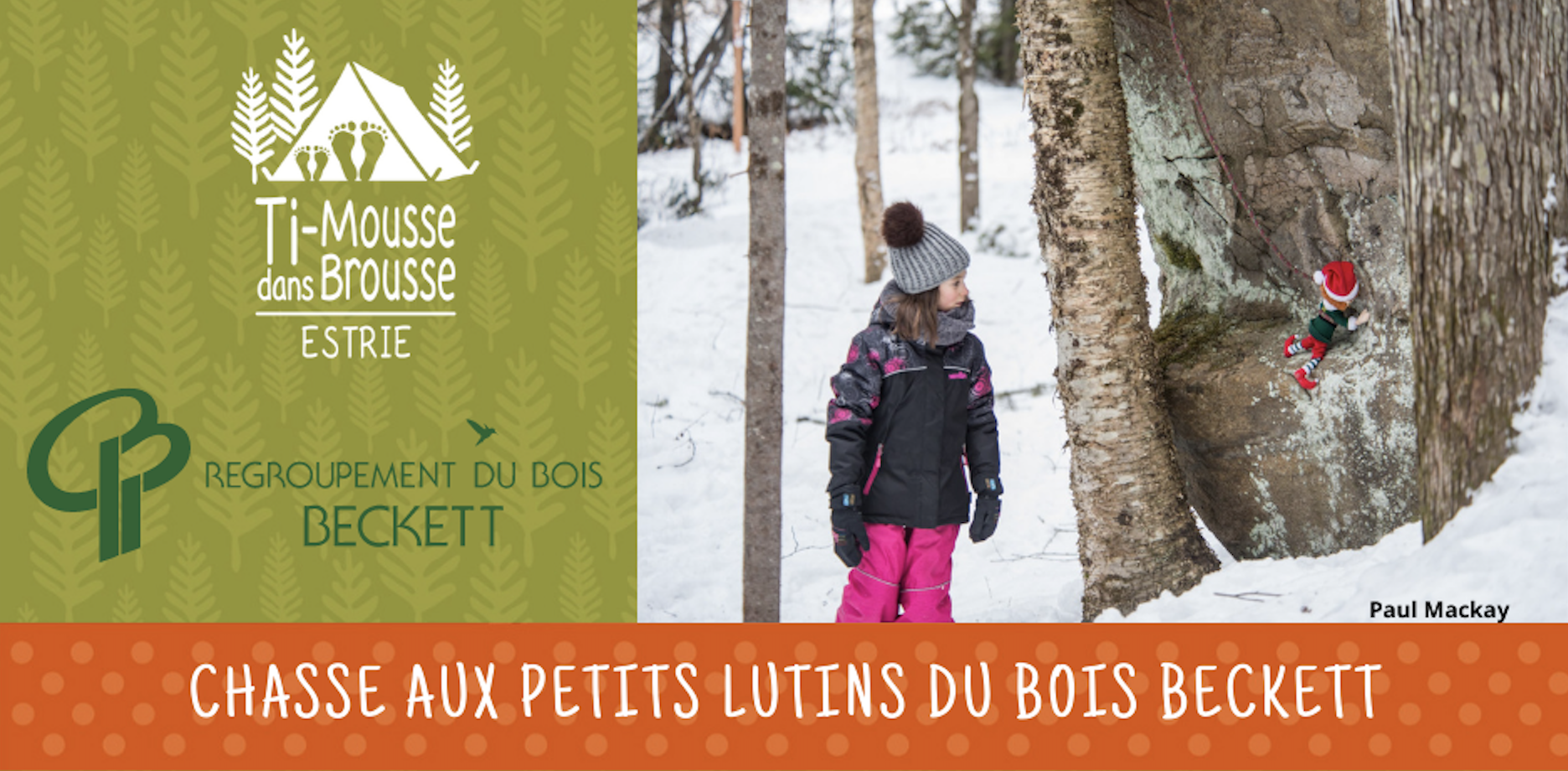 Chasse aux petits lutins des bois - Bois Beckett, Sherbrooke